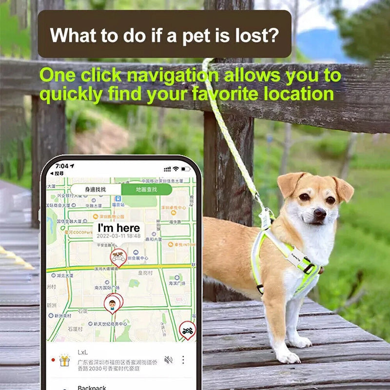 Mini Pet GPS Locator Tracker Tracking Dog Cat Collar Anti-Lost Device Waterproof