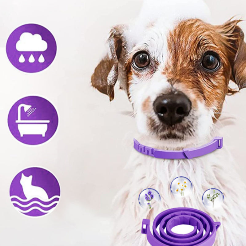 Adjustable Pet Calming And Soothing Collar